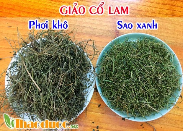 Giảo cổ lam khô và giảo cổ lam sao xanh